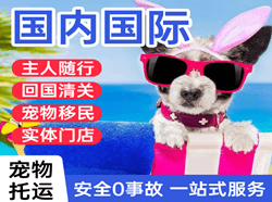 九江庐山机场空运国际宠物托运 【国
